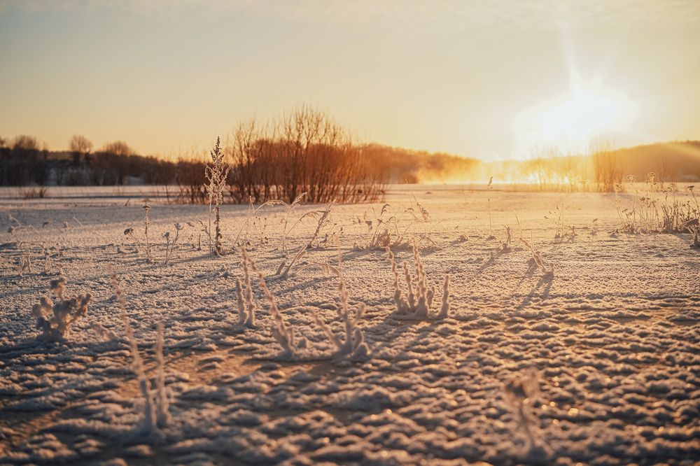 Photograph by Анна Хмелева