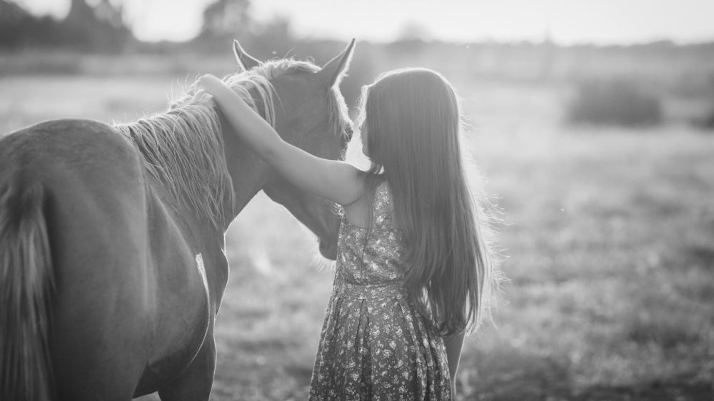 Photograph by Александр Стрельчук