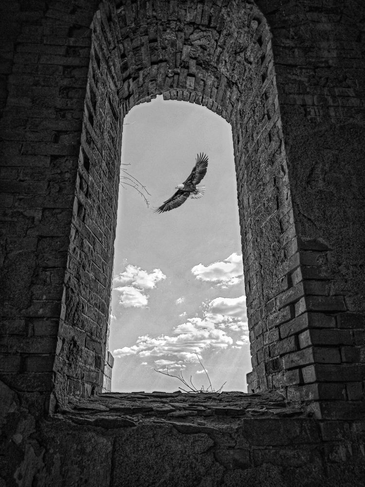 Photograph by Наталья Исиченко