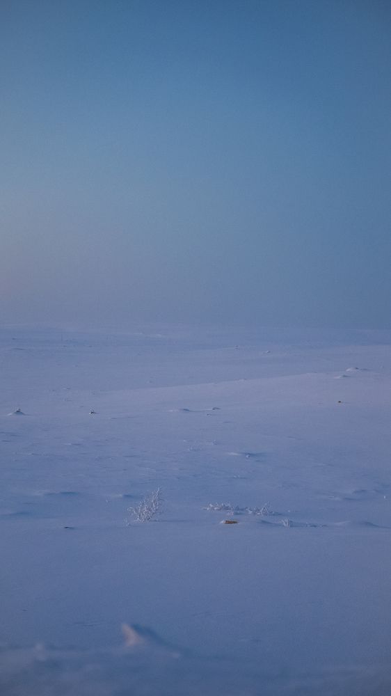 Photograph by Марлен Маан