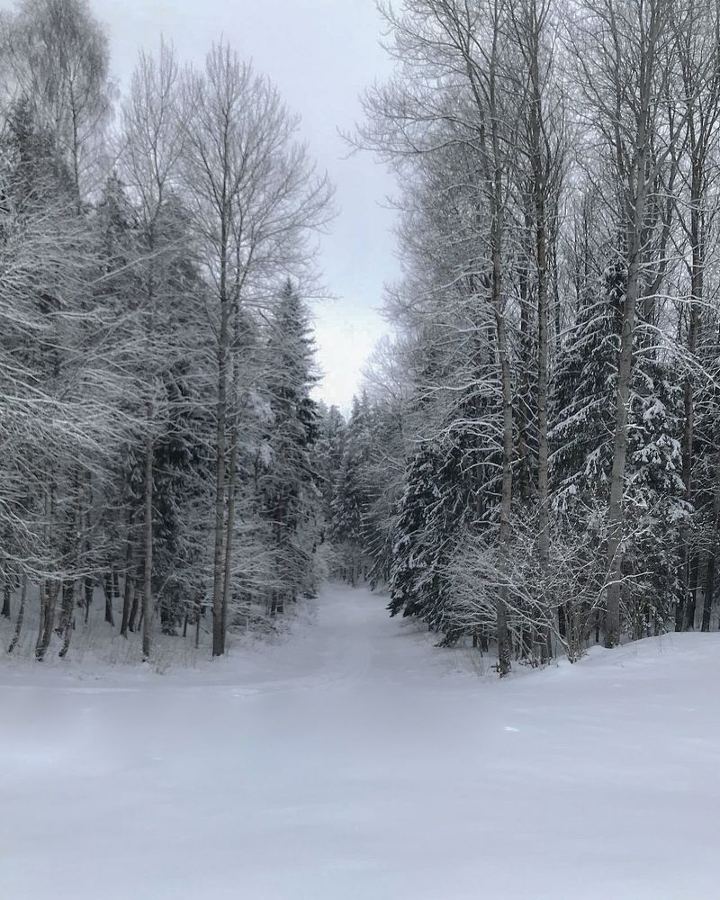 Фотография автора Лариса Гришкевич
