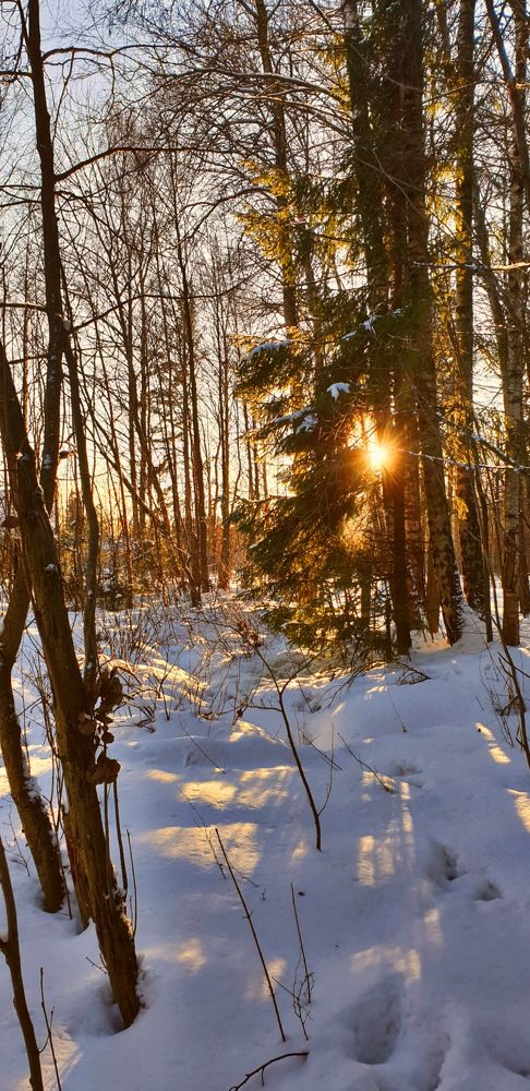 Photograph by Александр Соколов