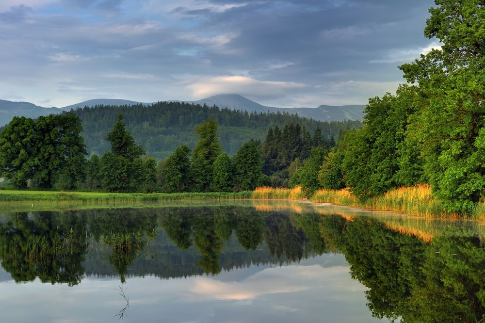 Photograph by Wydmuch Maciej