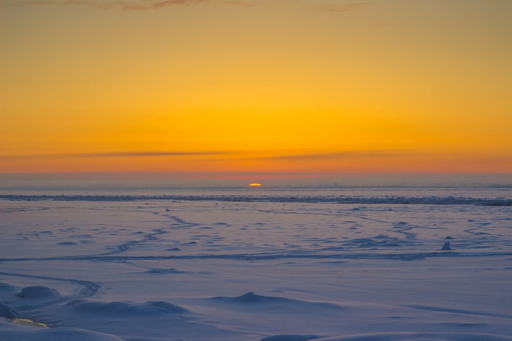 Photograph by Юлия Крюкова