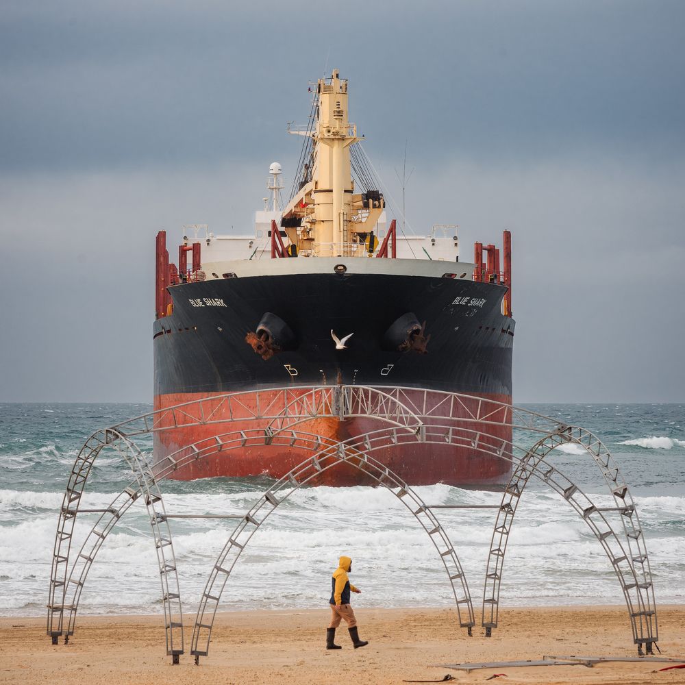 На берегу моря