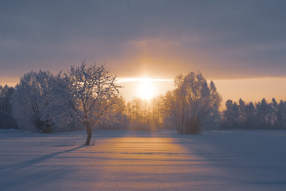 Фотография автора Константин Григорьев