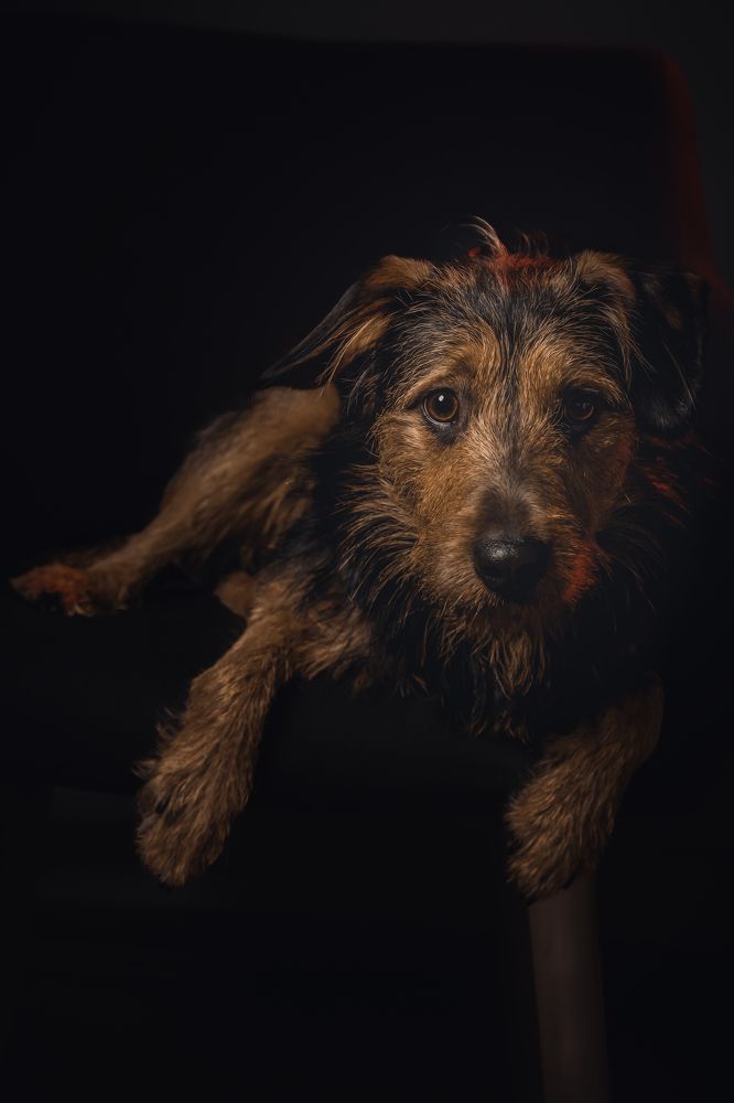 Photograph by Kusy Mariusz