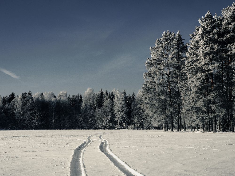 Photograph by Ольга Еженевская