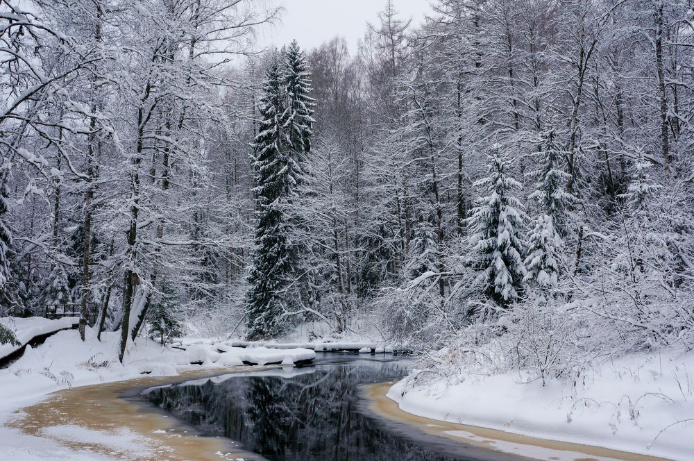 Фотография автора Екатерина Кожевникова