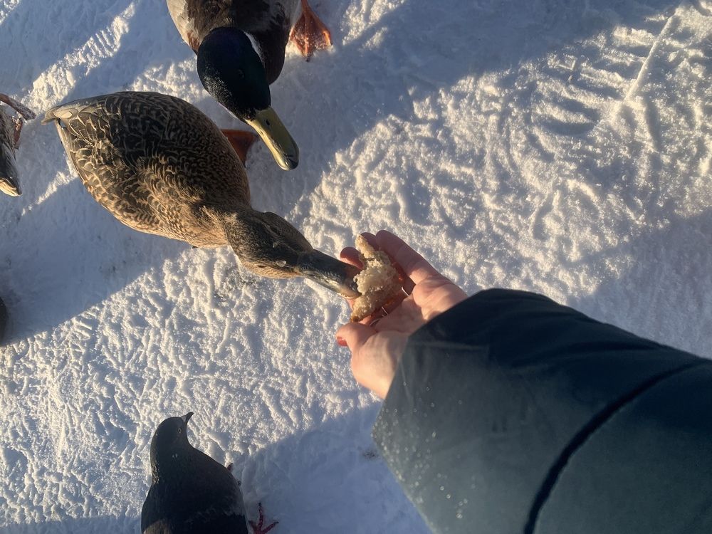 Photograph by Елена Каширина