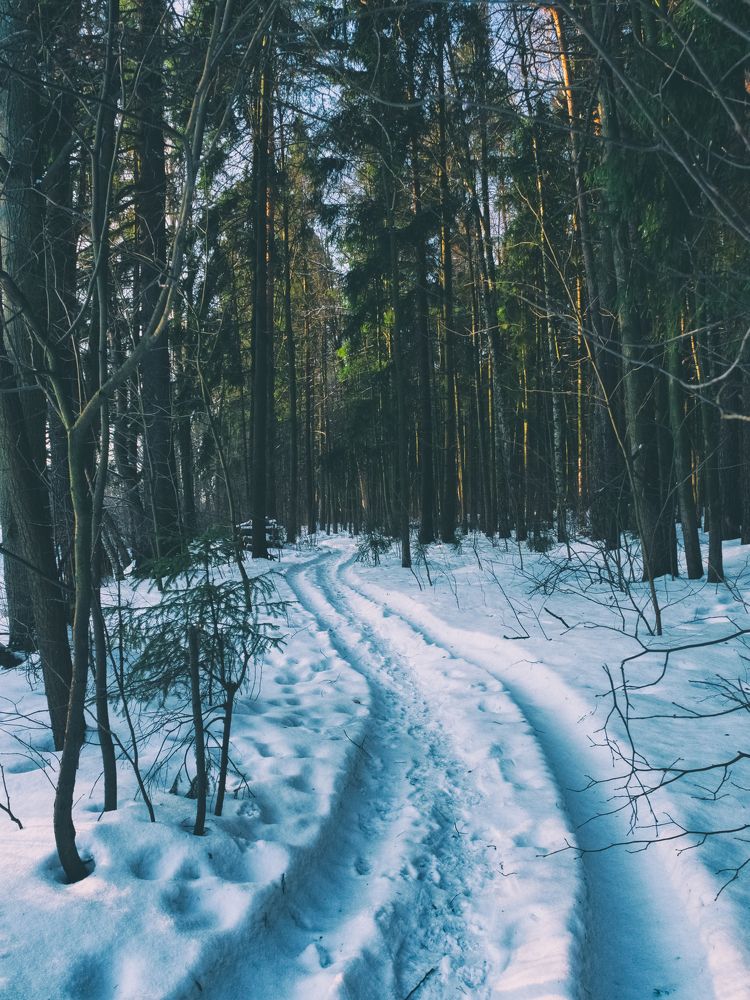 Photograph by Борис Челышев