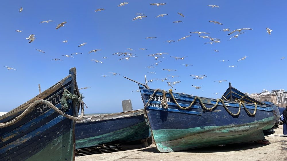 Photograph by Dmitry Litvinenko