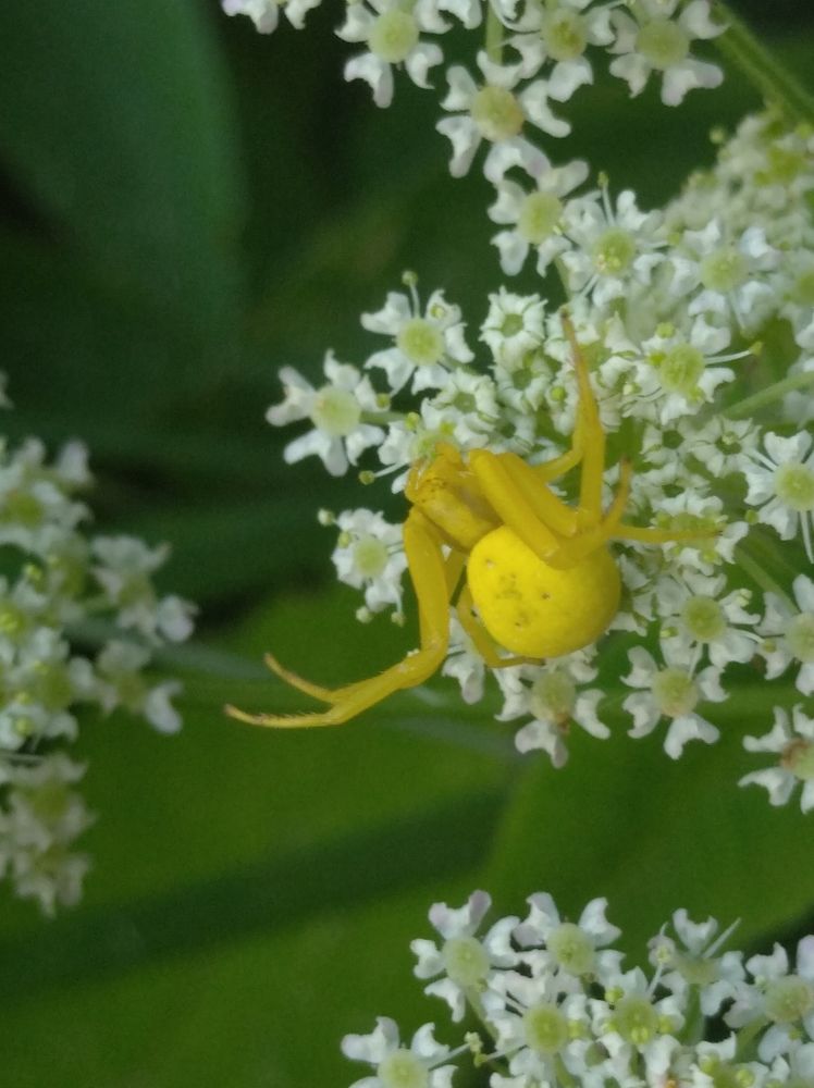 Photograph by Елена Коробченко