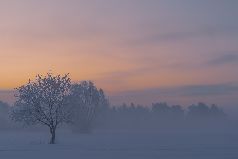 Фотография автора Константин Григорьев