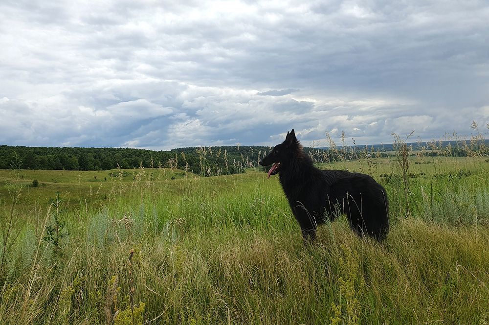 Фотография автора Надежда Лисицына