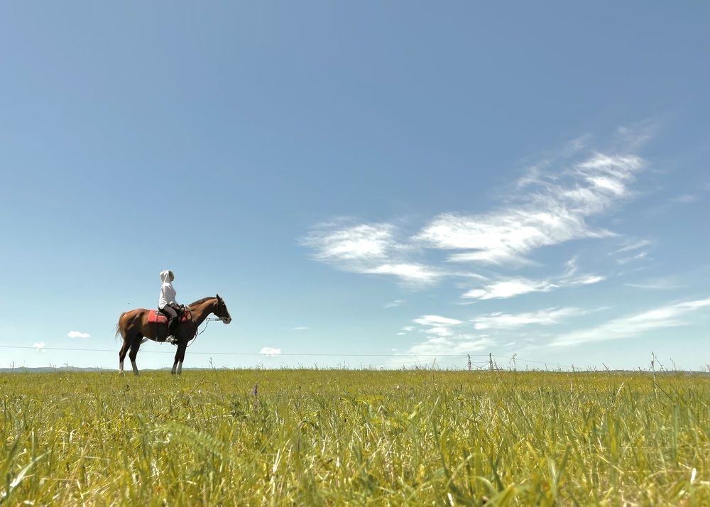 Photograph by Анастасия Соболевская