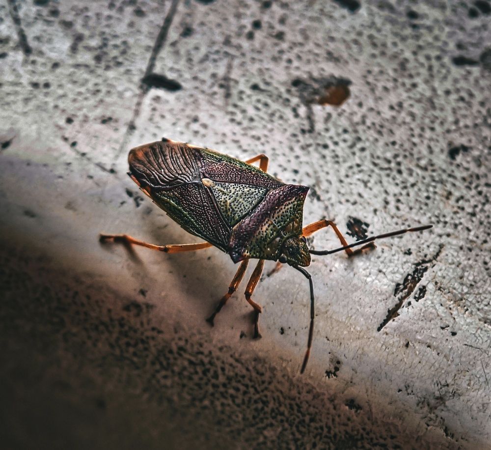 Фотография автора Иван Мисько