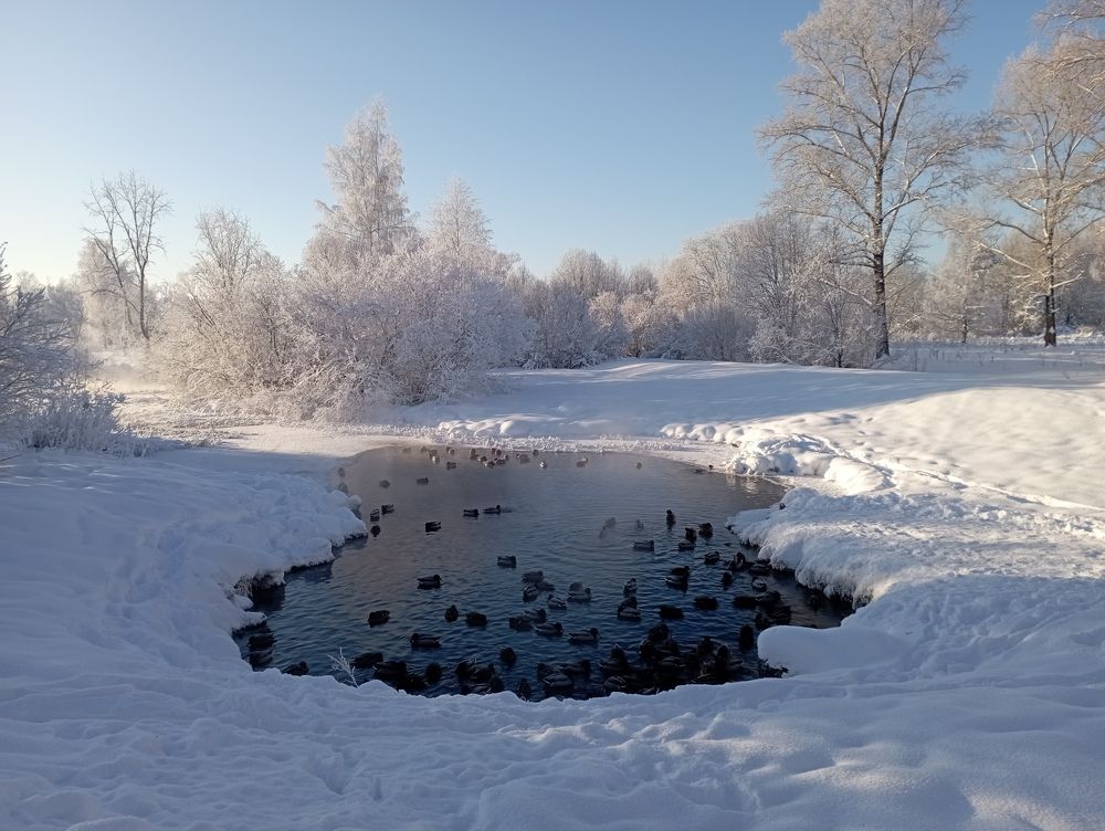 Фотография автора Natalia Khodina