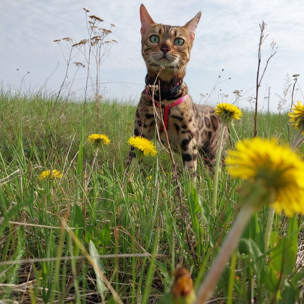 Photograph by Юлия Фирман