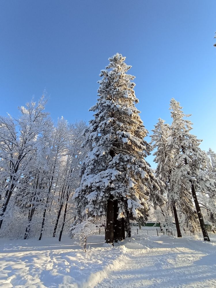 Фотография автора Natalia Khodina