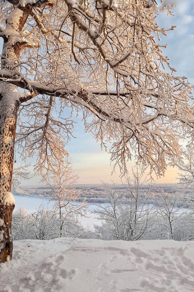 Фотография автора Тамара Караваева