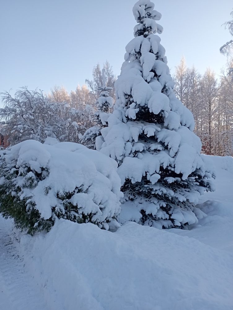 Фотография автора Natalia Khodina