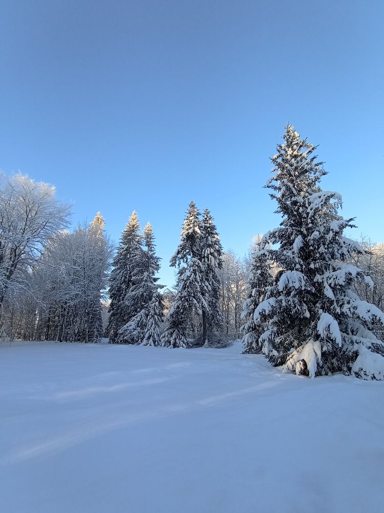 Фотография автора Natalia Khodina