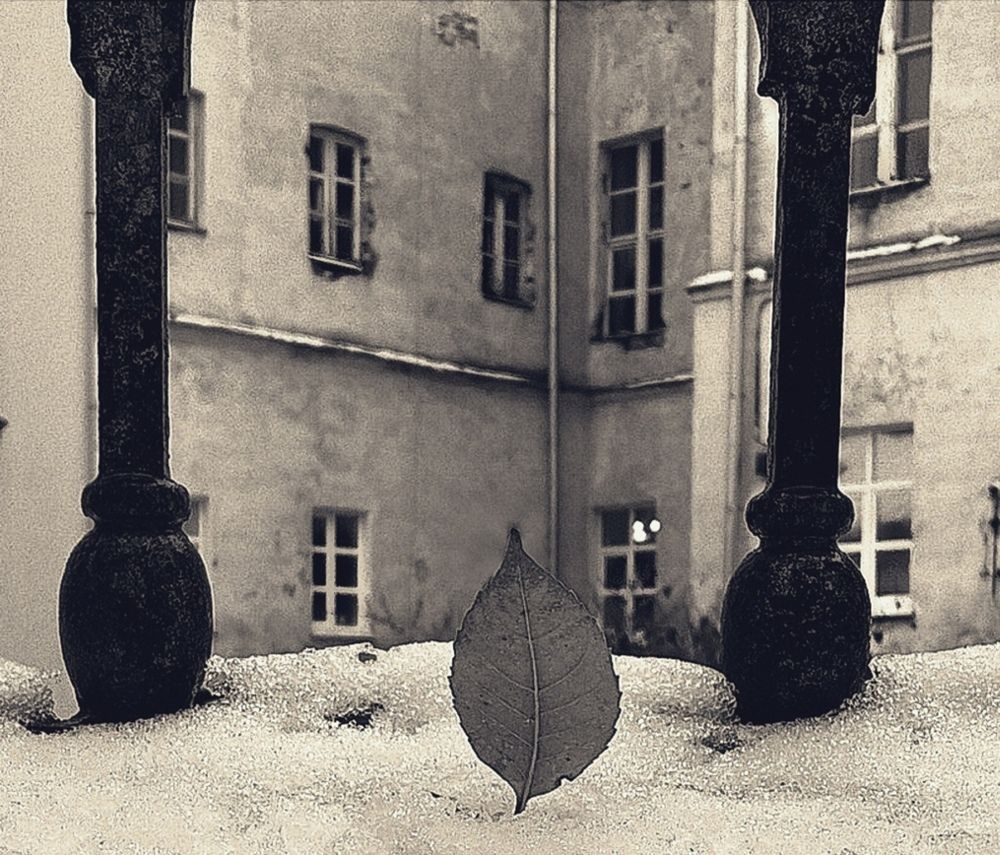 Photograph by Роман Новиков