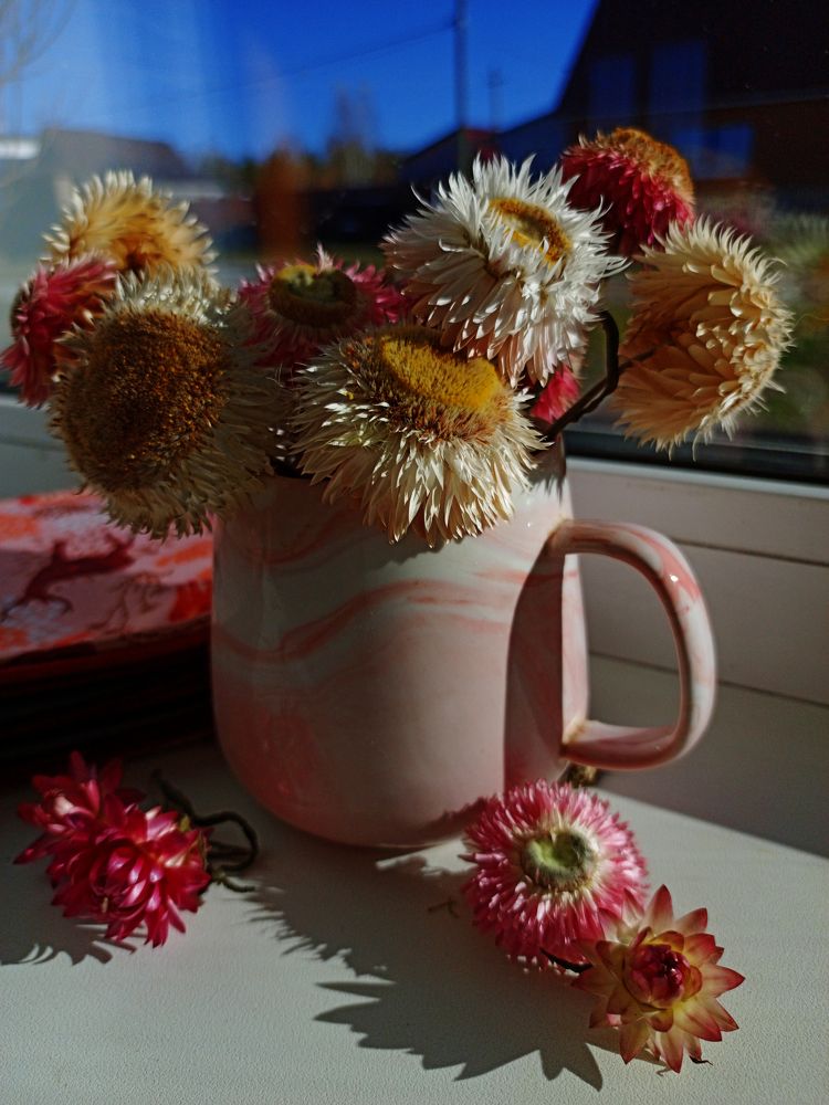 Photo #10062508