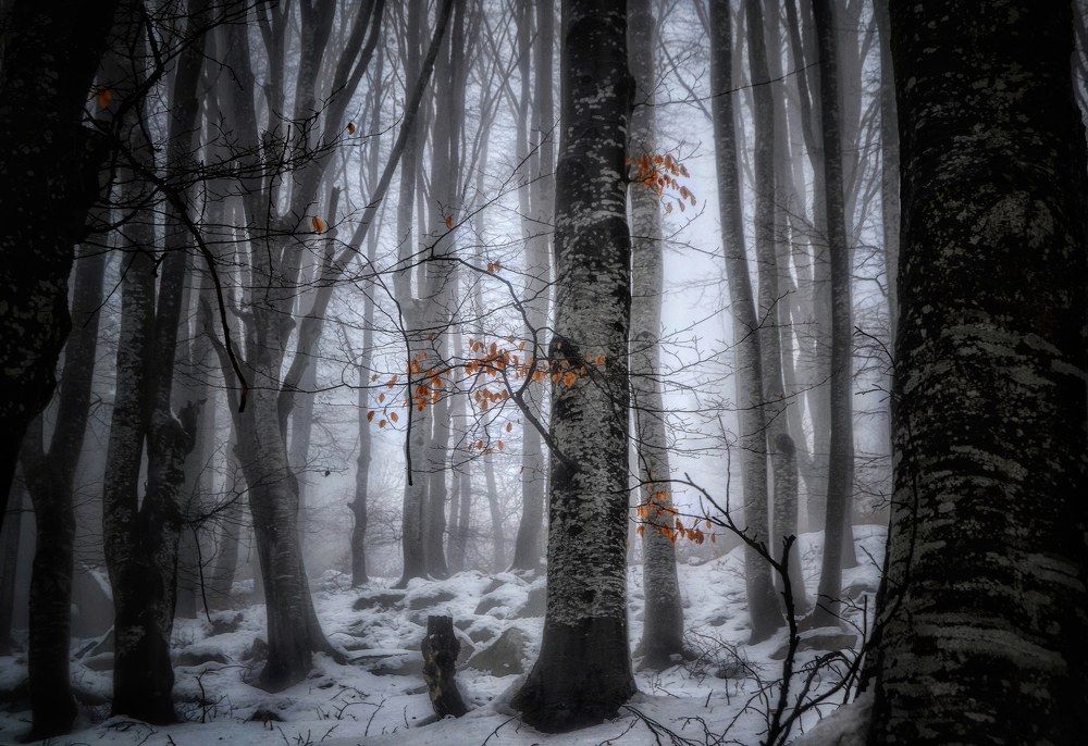 Фотография автора Юлияна Стоянова