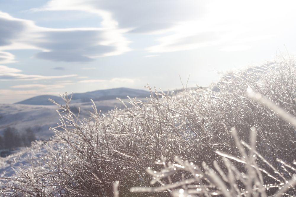 Фотография автора Egoreshka