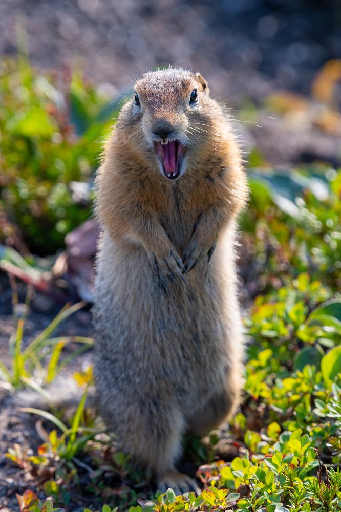 Photograph by Венцлавович Константин