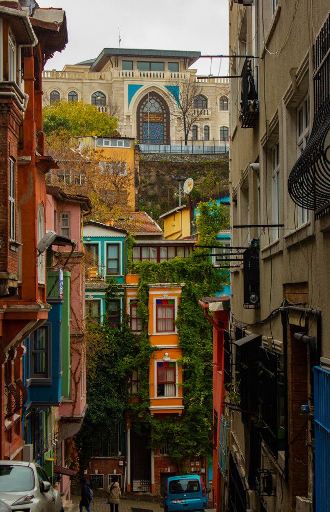 Photograph by Ekaterina Narozhnova