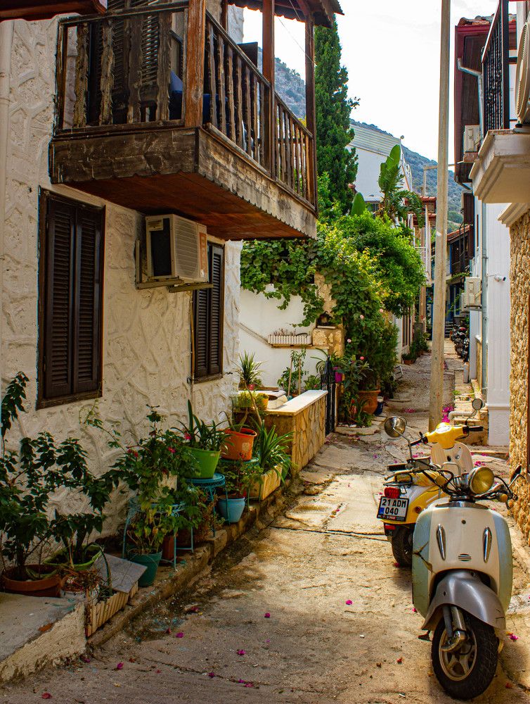 Photograph by Ekaterina Narozhnova