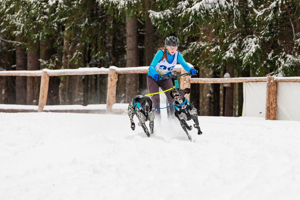 Photograph by Денис Павлов