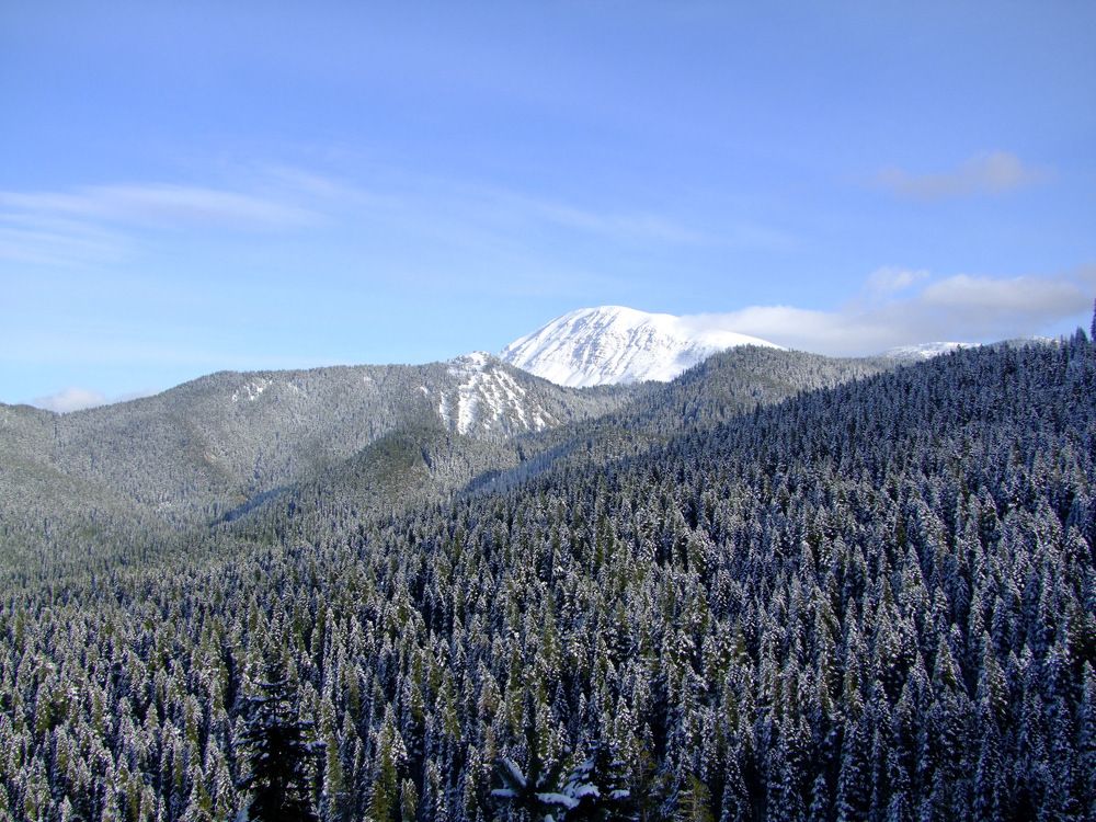 Photograph by Cengiz Yalcin