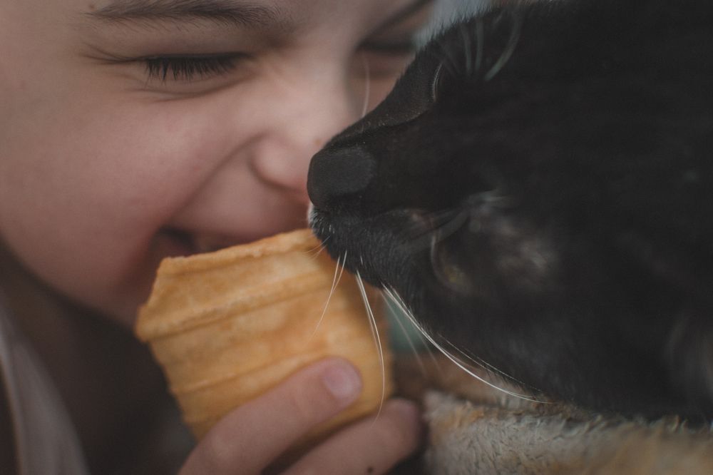 Photograph by Алена Полищук