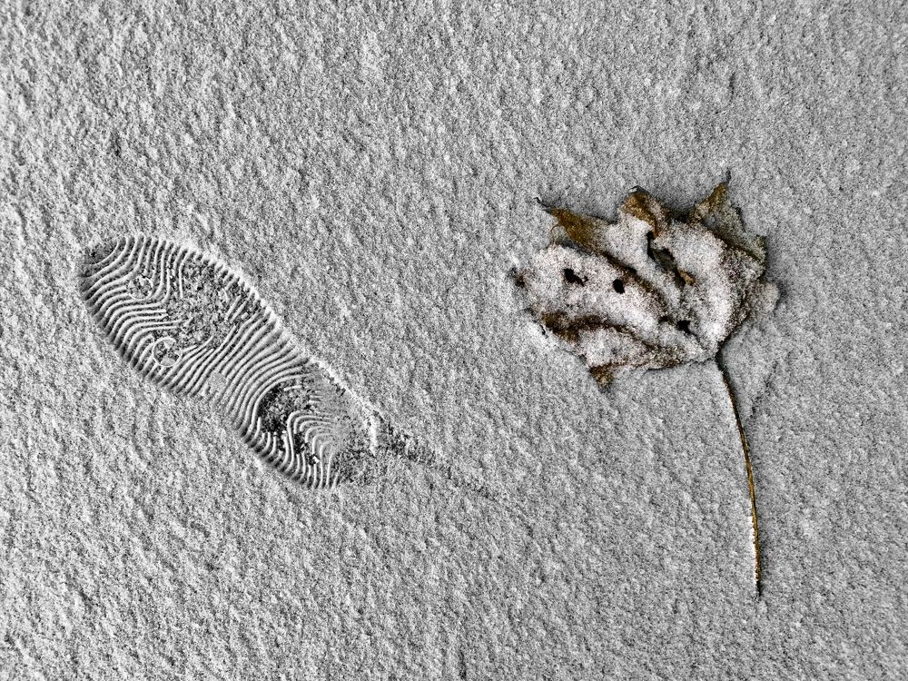 первый снег