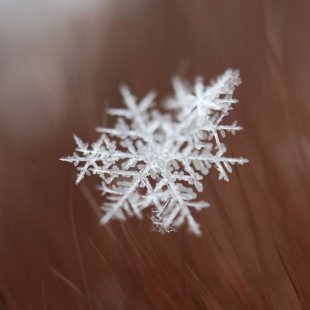 Photograph by Ирина Корабельникова