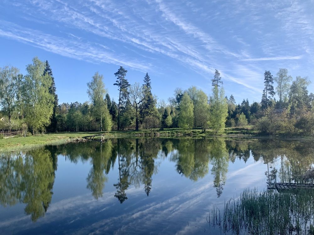 майское утро