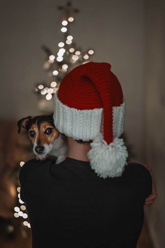 Photograph by Aga Kucinska