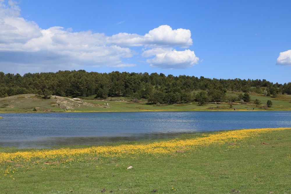 Photograph by Cengiz Yalcin