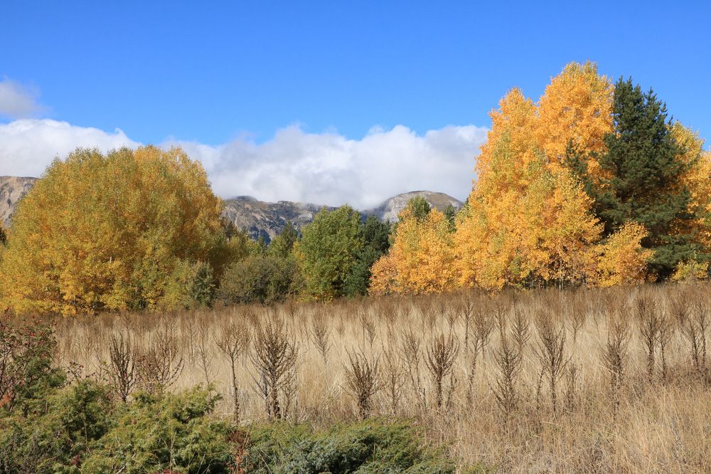 Photograph by Cengiz Yalcin