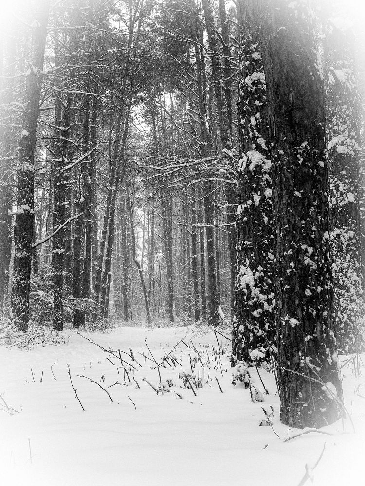 Photograph by Маргарита Ивкова