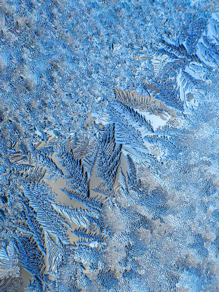 Photograph by Маргарита Ивкова