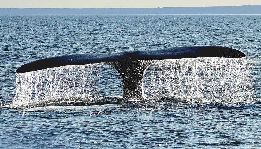 Worlds in contact...