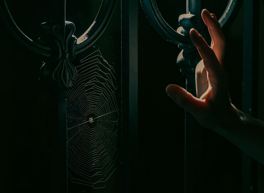 Photograph by Алена