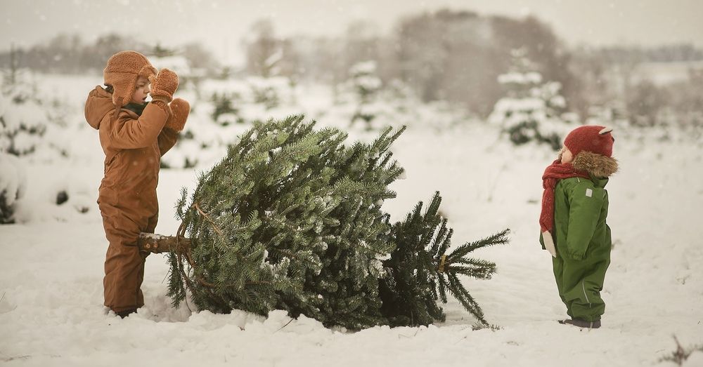 Photograph by Яна Фернандез Диаз