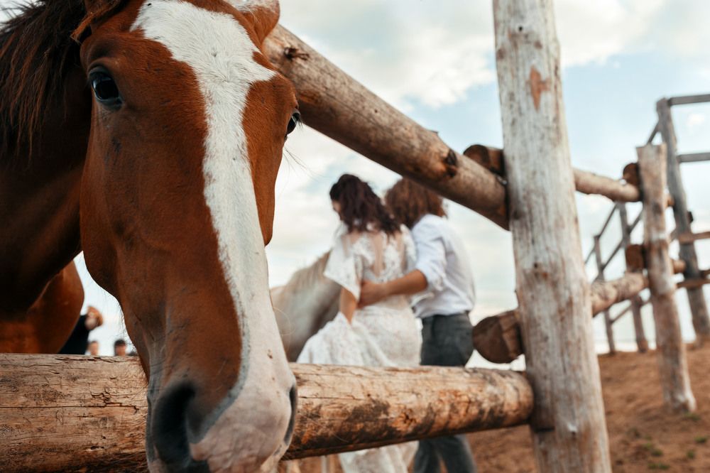 Photograph by Анастасия Опиши