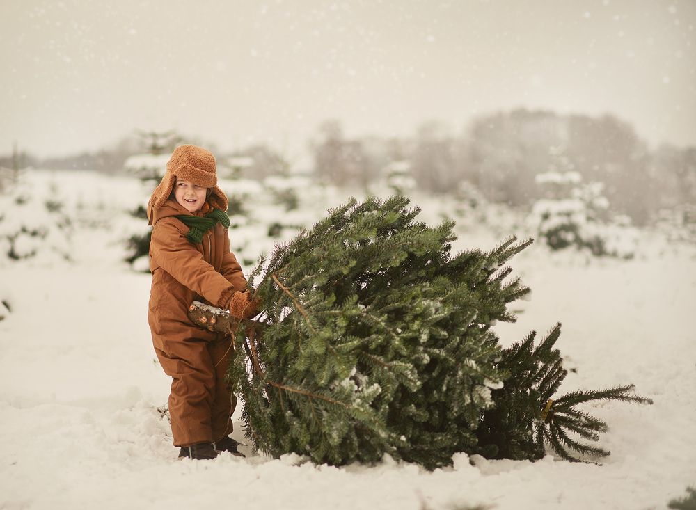 Photograph by Яна Фернандез Диаз